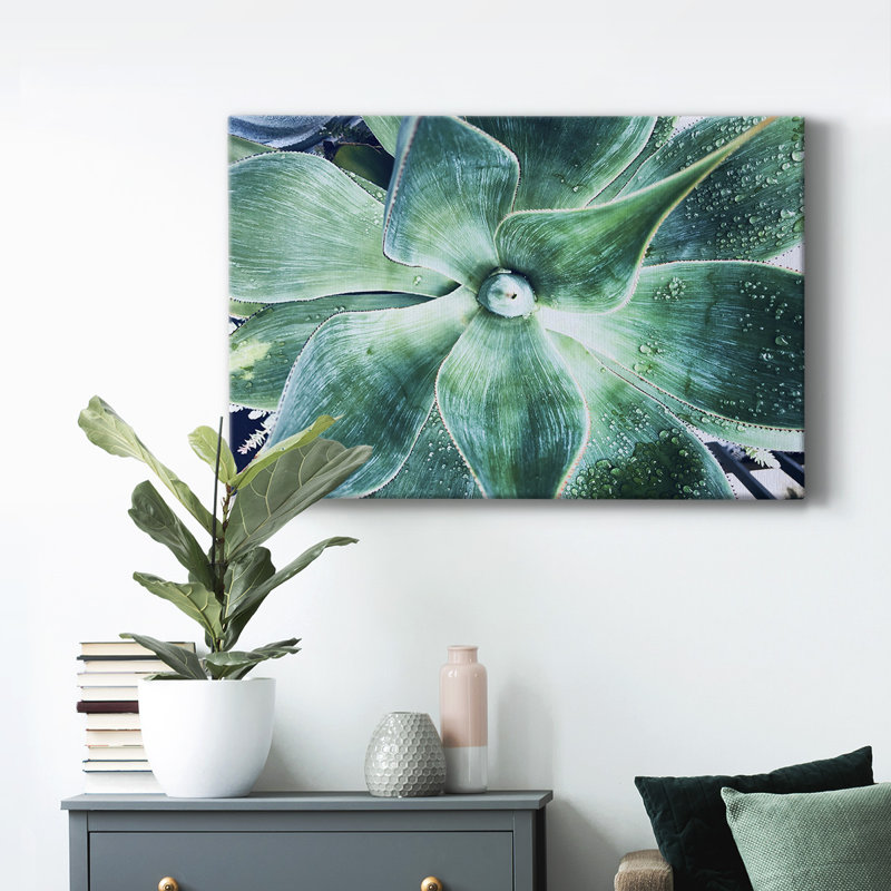 «Green Tropical Succulent VII», reproduction sur toile tendue, L 18 po x H 12 po