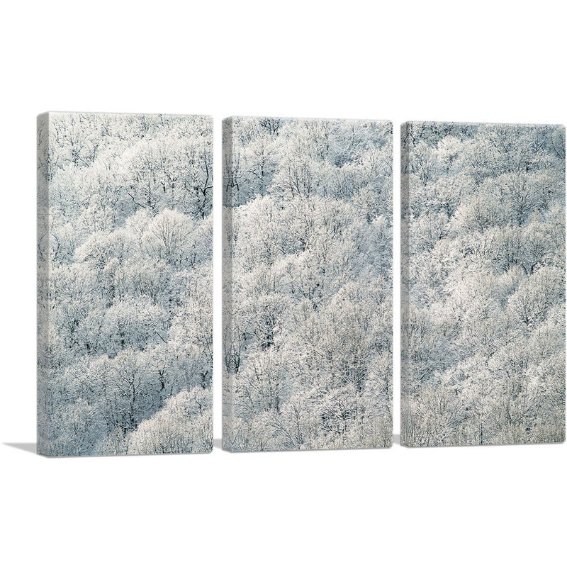 Winter Forest - ensemble de 3 reproductions de photos sur toiles tendues, H 40 po x l 60 po x 1,5 po