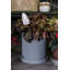 Ceramic Pot Planter-428714403