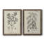 Antique botanique noir et blanc antique - ensemble de 2 reproductions d'art-672527112-672527107-686387518