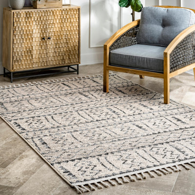Southwestern Indoor Rug