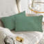 Inserts décoratifs en duvet d'oie en duvet synthétique Alha - hypoallergénique, prêt à l'emploi, ensemble de 2-1140854036-1140854040