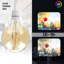 Sigala 4W LED Vintage Edison Globe Light Bulb Amber