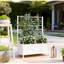 Lit de jardin surélevé avec treillis, jardinière surélevée galvanisée