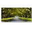 The Path Home Print-45586261-45647050