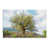 Wrapped Canvas is unavailable