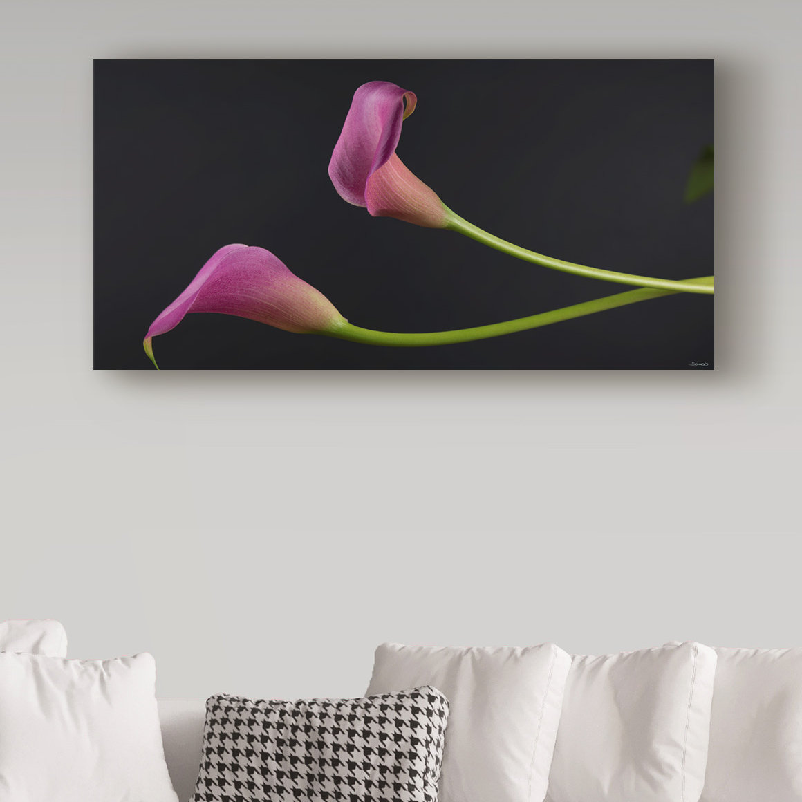 Trademark Art Gordon Semmens Pink Lily Lit On Canvas by Gordon Semmens  Print | Wayfair