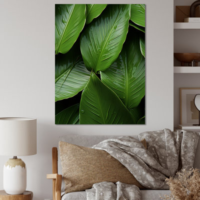 " Palm Leaves Serenity I "