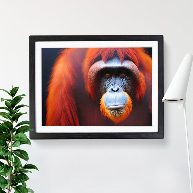 Enviable Orangutan - Single Picture Frame Print, Black, 25cm H x 34cm W x 2cm D