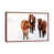 Brown Framed is unavailable