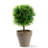 6.1'' Faux Foliage Topiary in Pot