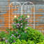Metal garden trellis set for climbing plants-114504778