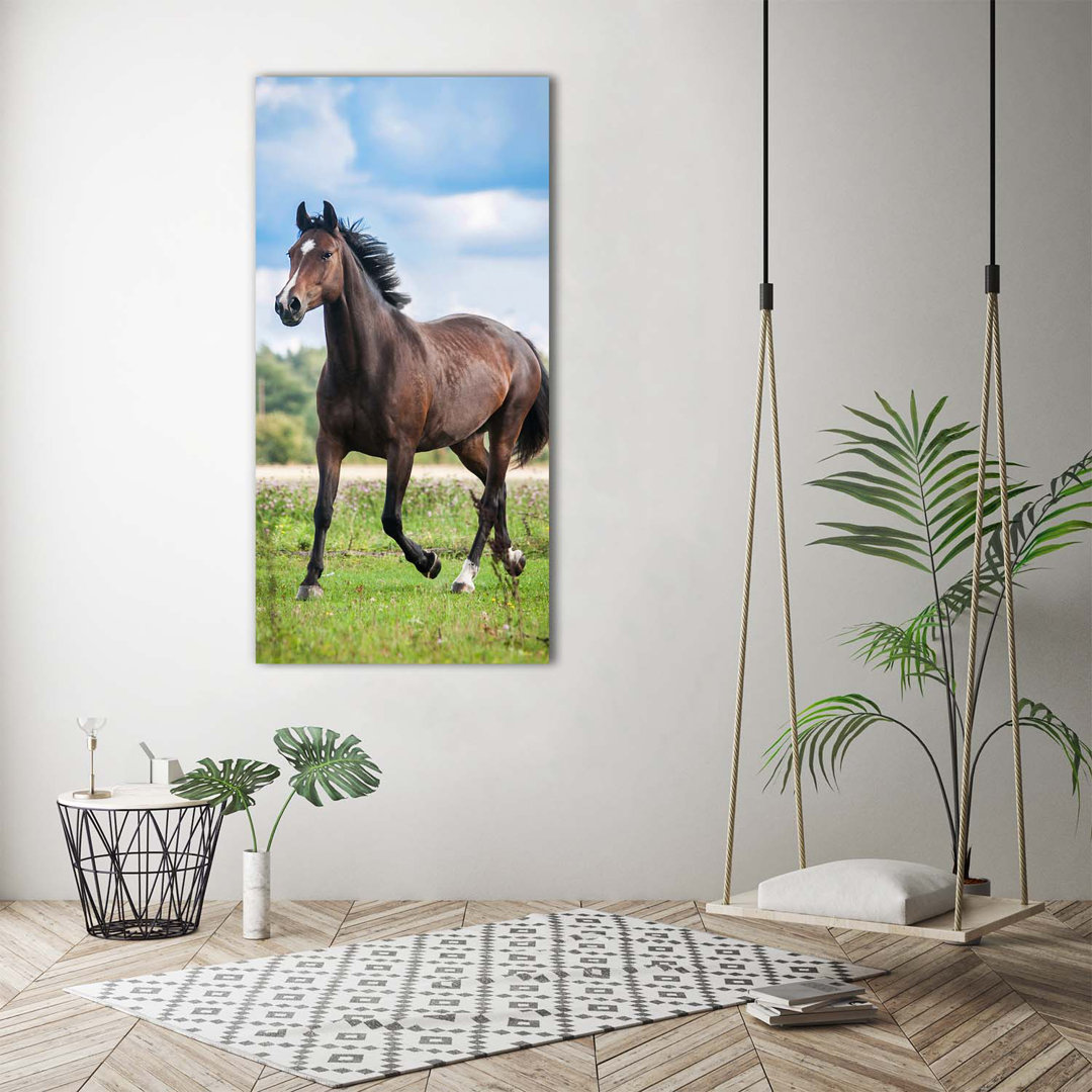 Pferd auf der Weide - Leinwanddrucke auf Wrapped Canvas