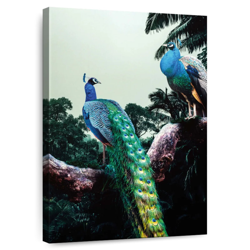 Brampt Peacock Duo, 24" H x 16" W