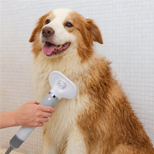 Pet Hair Dryer With 4 Grooming Nozzles, Low Noise Dog & Cat Blow Dryer For Fast Drying And Styling