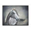 Portrait monochrome d'un cheval sauvage - peinture sur toile-60162758-60162753