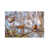 Wrapped Canvas is unavailable