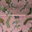 Protea Garden Linen Fabric-1140129588