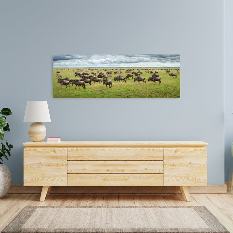 African Wildebeest Zebra by Kirill Trubitsyn - Wrapped Canvas Panoramic Print, 121.92 cm H x 40.64 cm W