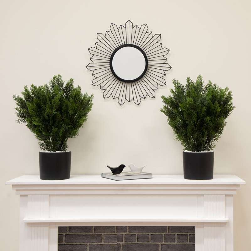 2ft. Artificial Cedar Tree UV Resistant (Indoor/Outdoor) - Set of 2, 24" H x 16" W x 16" D