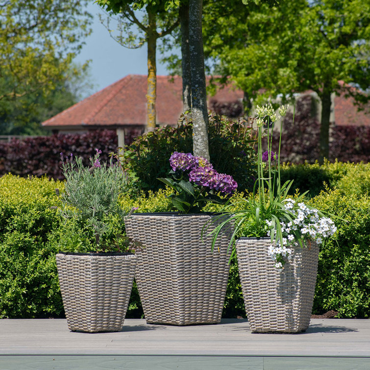 Rattan Planter Set