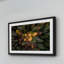 Karolis Janulis - Single Picture Frame Print-156570789