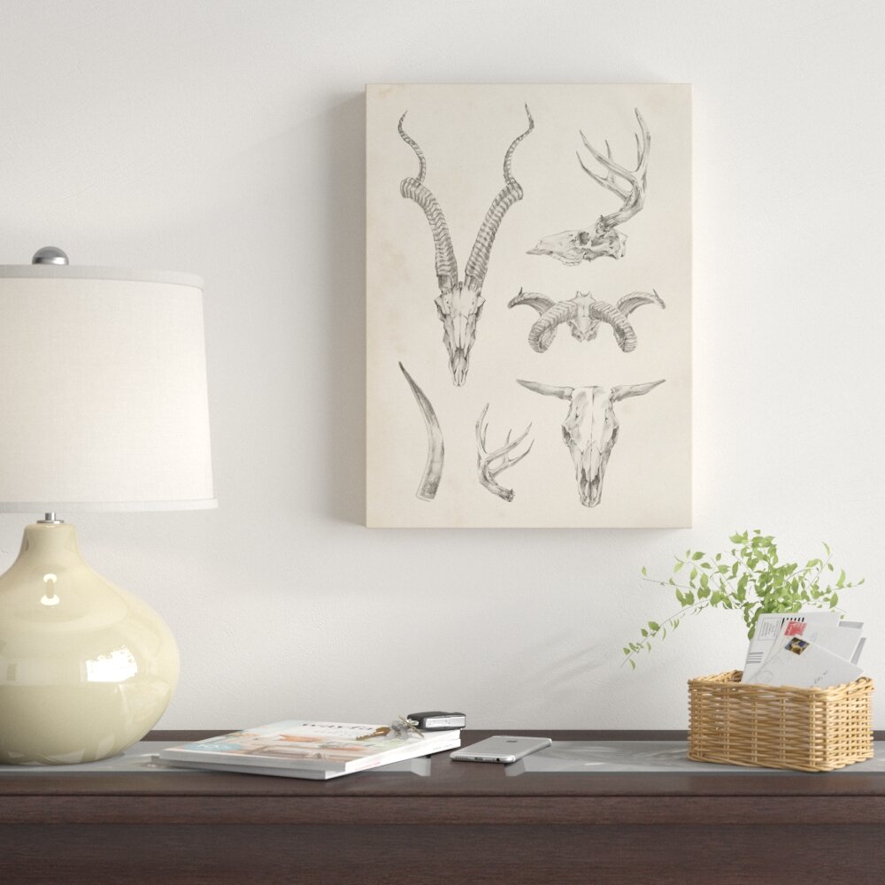 Skull and Antler Study II Wall Art, Canvas Prints, Framed Prints