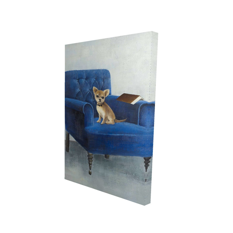 Chihuahua sur un fauteuil