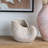 Sand And Cement Nautilus Shell Planter-2007995326