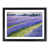 Black Framed selected