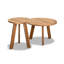 Link Solid Wood Nesting End Table