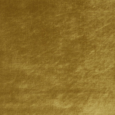 Allure Fabric