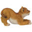 Lion Cub of the Sahara Animal Statue