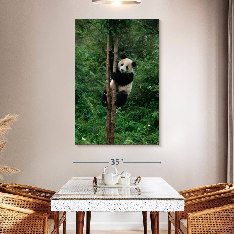 Brampt Climbing Panda, 51" H x 34" W