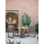 Cozumel Dining Chair-1630232265