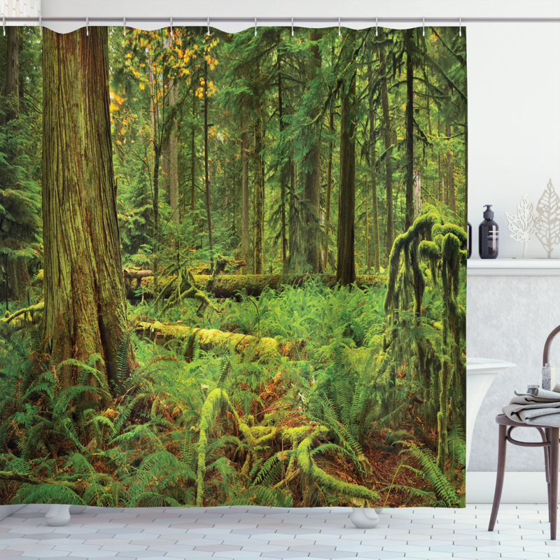 Rideau de douche simple idyllic luxueux rainforest Kaitlin, H 69 po x l 105 po