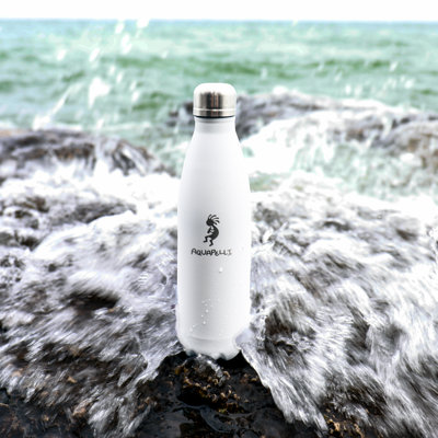 Aquapelli 16oz. Vacuum Insulated Stainless Steel Water Bottle