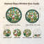 Vitrail Cactus Sunburst-463048310