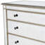 Laflin Mirrored Console Chest