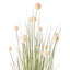 120cm Plant