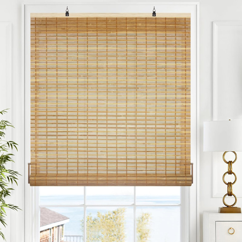 Cordless  Blinds,  RollerShades for Windows, Squirrel, 26.2" W x 48" L