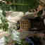 Photos des clients 1 de 1