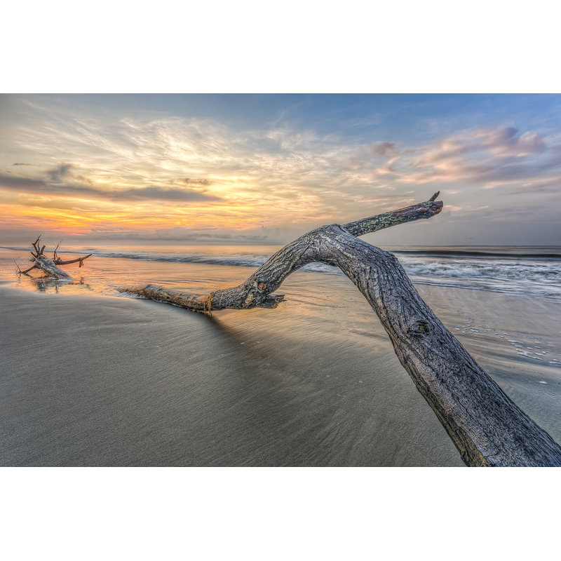 Bough In Ocean - Wrapped Canvas Print, 30cm H x 46cm W x 3.8cm D