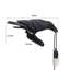Kennan Wall Sconce