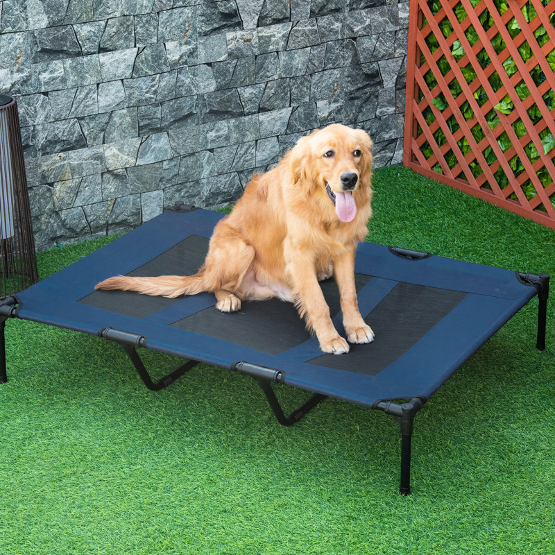 Lit pour animal de compagnie portatif 48 po x 36 po surélevé avec filet respirant, cadre en métal bleu foncé pour animaux de compagnie