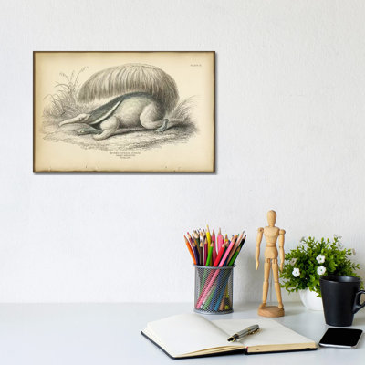 Great Anteater by PI Collection - Wrapped Canvas Painting