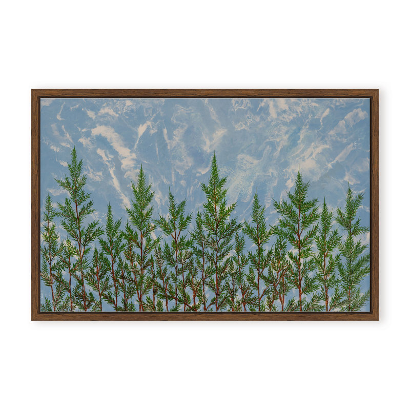 Nature Inspired "Reaching for the Sky" Canvas Wall Art By , 12" H x 16" W, Framed Matted Print, Brown