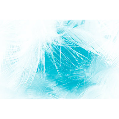 Feather Texture - Wrapped Canvas Print