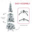 6 arbres de Noël