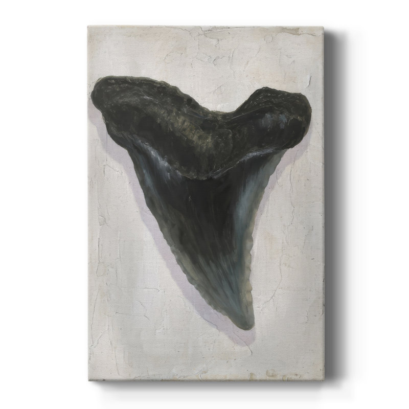 Aquarelle Sharks Tooth I -Gallery Wraraped Cavas, H 48 po x l 32 po
